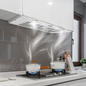 Insert Range Hood 36 Inch Stainless Steel Built-in