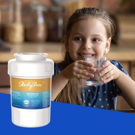 Refrigerator Water Filter Replacement