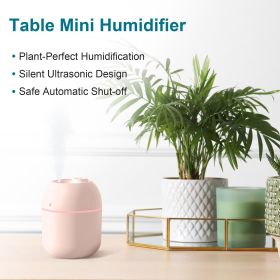 Portable Mini Humidifier USB