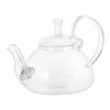 20 oz/600 ml Glass Teapot Removable Metal Spout