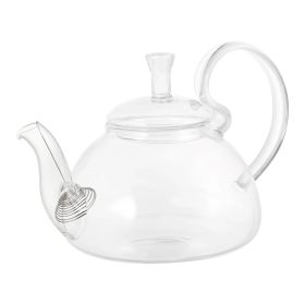 20 oz/600 ml Glass Teapot Removable Metal Spout