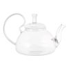 20 oz/600 ml Glass Teapot Removable Metal Spout