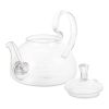 20 oz/600 ml Glass Teapot Removable Metal Spout