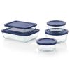 10-Piece Glass Food Storage Set with Blue Plastic Lids