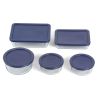 10-Piece Glass Food Storage Set with Blue Plastic Lids