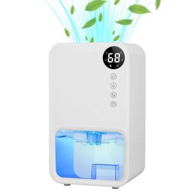 Dehumidifier Indoor Portable