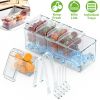 Ice Chilled Condiment Caddy Serving Tray