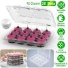 12 Count 20 Sets Clear Cupcake Boxes